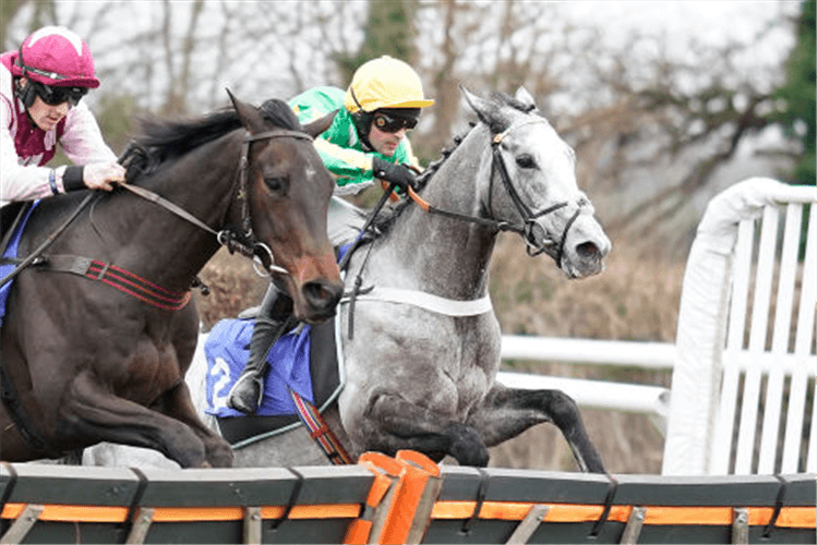BUZZ winning the Hippychick Supports Love Musgrove Maiden Hurdle in Taunton, England.