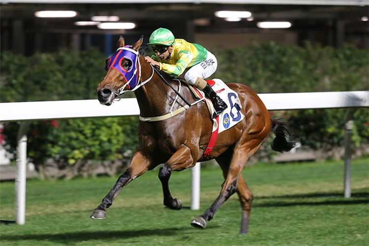 California Rad is a top rater at Happy Valley.