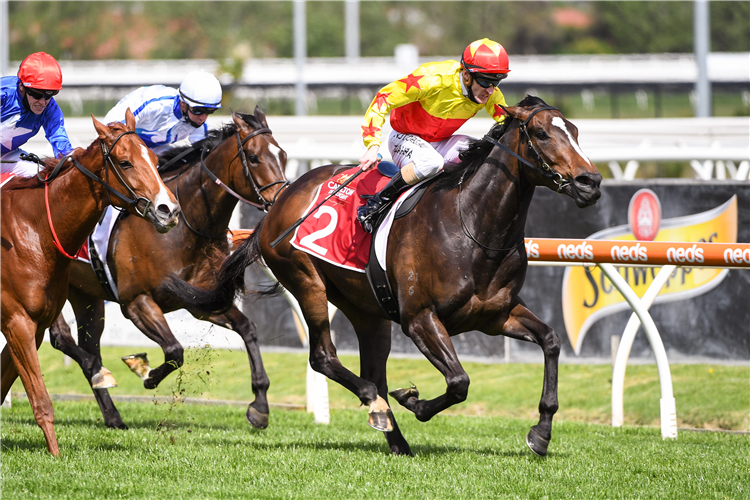 CALIFORNIA ZIMBOL winning the Carlton Draught Alinghi Stakes.