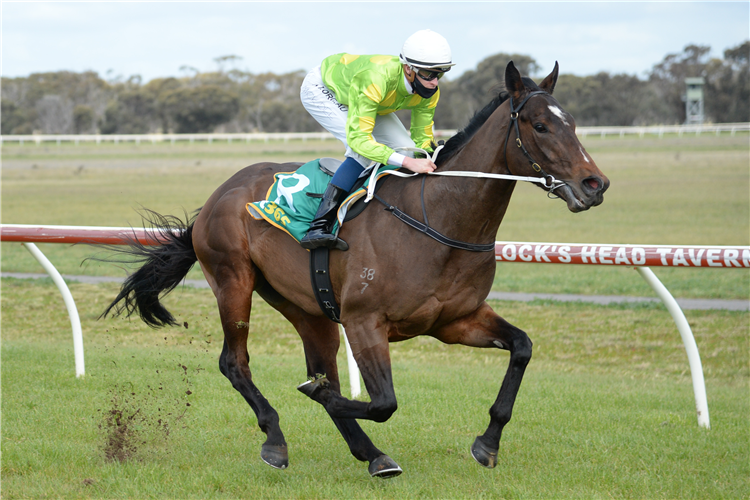 CAMBOURNE winning the TAC Be Races Ready Maiden Plate in Donald, Australia.