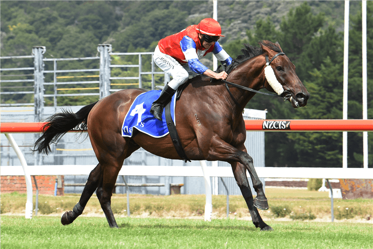 CAMINO ROCOSO winning the Barneswood Farm Trentham Stks