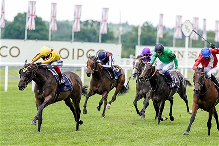 CAMPANELLE winning the Queen Mary Stakes at Ascot in England.