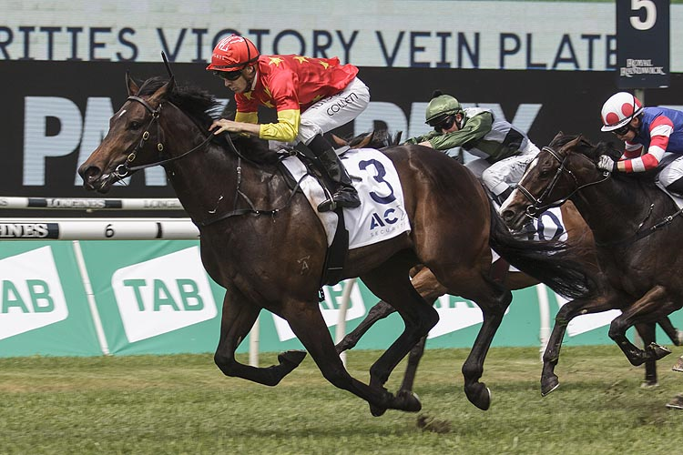 CAPTIVANT winning the Acy Securities Victory Vein