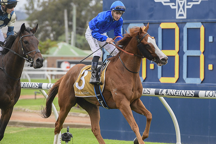 CASCADIAN winning the Chandon Doncaster Prelude