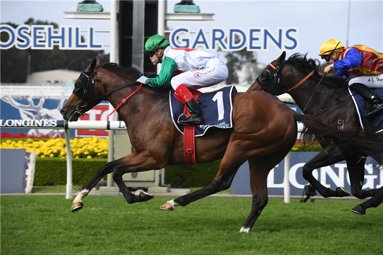 CASTELVECCHIO winning the Sky Racing Active Rosehill Guineas.