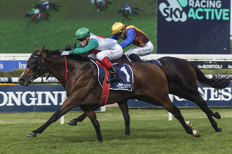 CASTELVECCHIO winning the Sky Racing Rosehill Guineas