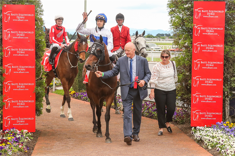 Catalyst led by owner Dick Karreman returning to scale after winning last year’s Gr.1 New Zealand 2000 Guineas (1600m) at Riccarton