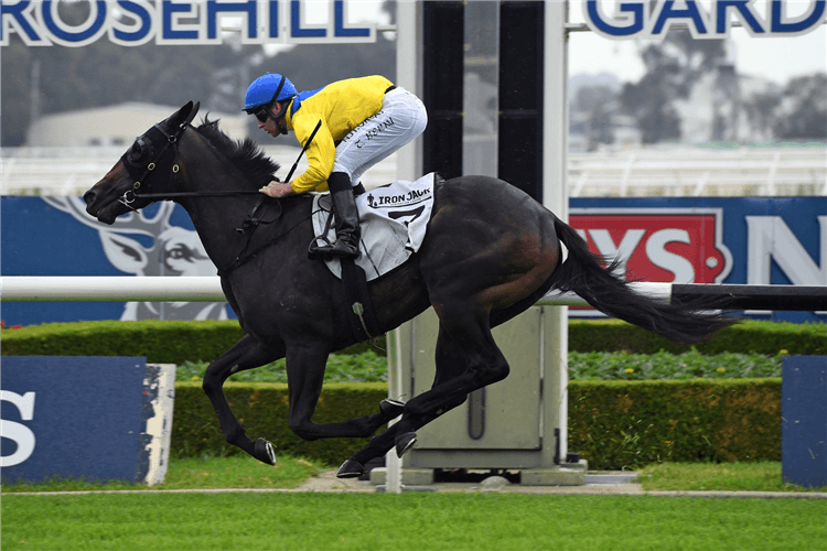 CELLSABEEL winning the Iron Jack Handicap.