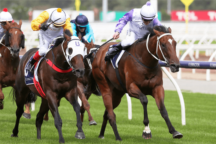 CHASSIS winning the Race 2, Maxcap Dash during Rapid Racing day, Flemington Twilight Races at Flemington in Melbourne, Australia. (