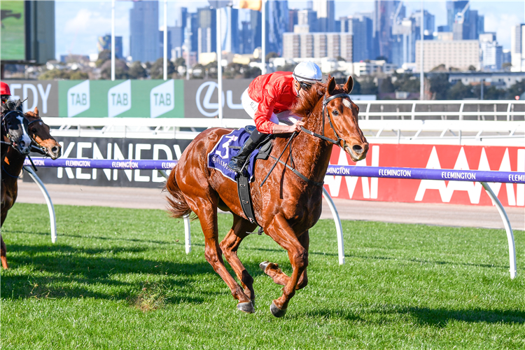 CHERRY TORTONI winning the Rod Johnson Handicap in Flemington, Australia.