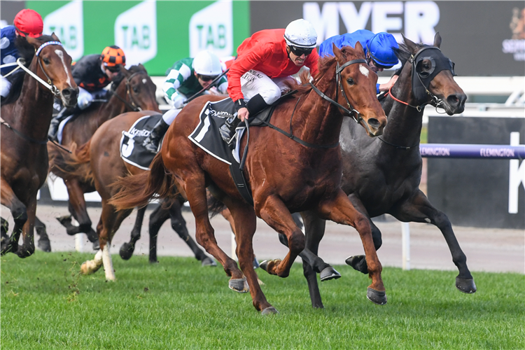 CHERRY TORTONI winning the Kennedy Taj Rossi Series Final in Flemington, Australia.