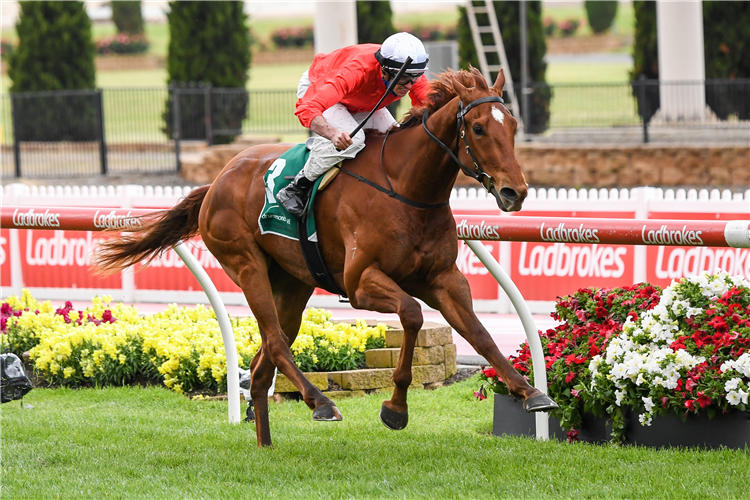 CHERRY TORTONI winning the Moonee Valley Vase.