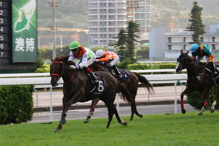 CHI CHAI SIN SANG winning the THE SINTRA