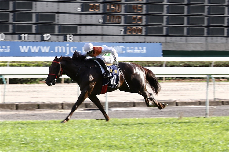 CHI CHAI SIN SANG winning the THE FALKIRK