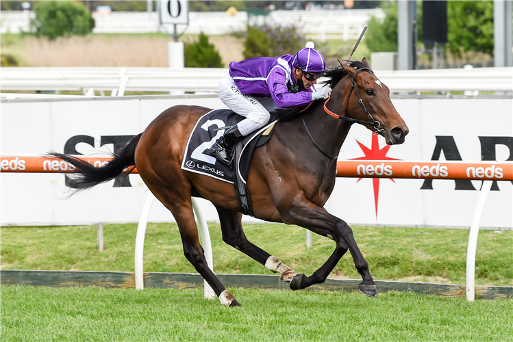 CHICA FUERTE winning the Lexus Ethereal Stakes at Caulfield in Australia.