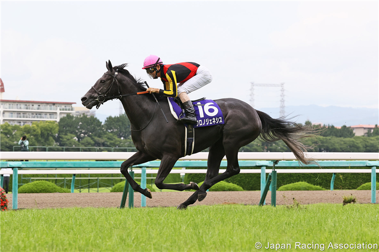 CHRONO GENESIS winning the Takarazuka Kinen at Hanshin in Japan.