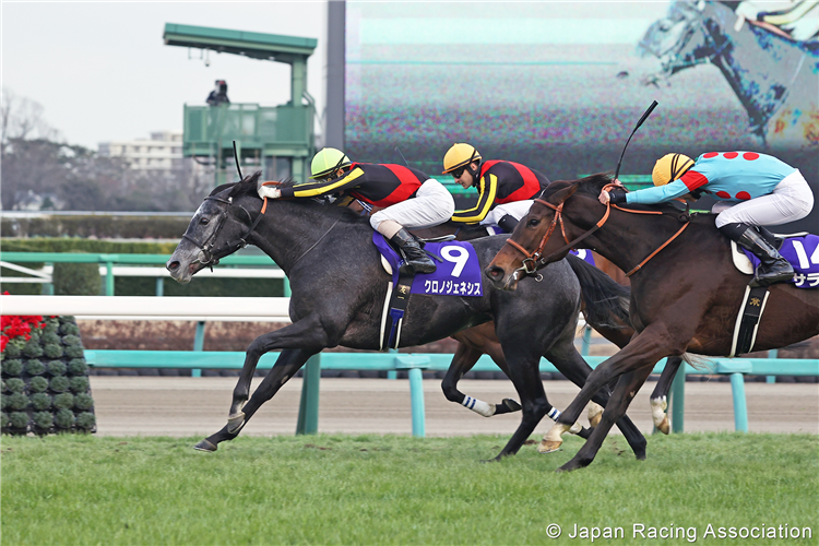 CHRONO GENESIS winning the Arima Kinen at Nakayama in Japan.