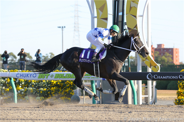 japan world cup 3 horse racing