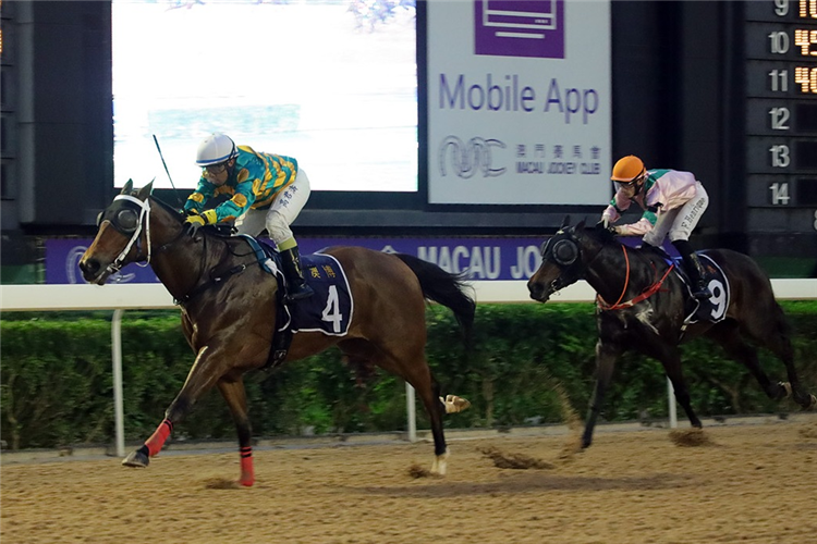 CIRCUIT GUY winning the THE NOVA IGUACU