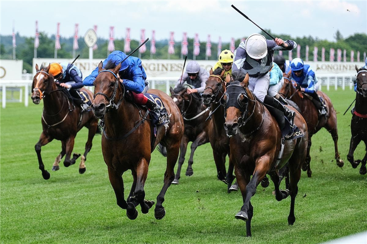 CIRCUS MAXIMUS (right) and TEREBELLUM fight out the finish to the Queen Anne Stakes.