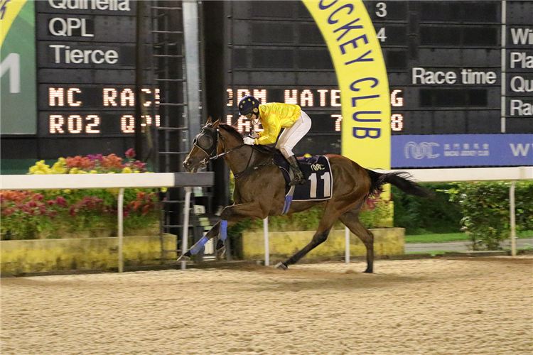 CITY GOLD winning the THE KWEICHOW