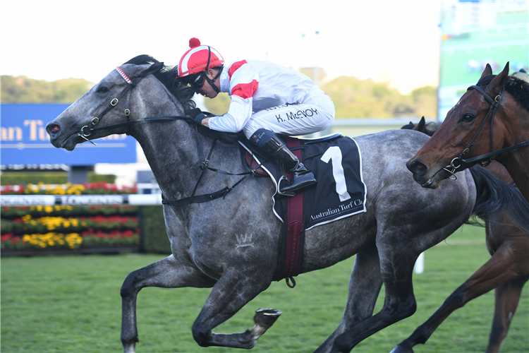 CLASSIQUE LEGEND winning the Bob Charley Ao Stakes (LR).