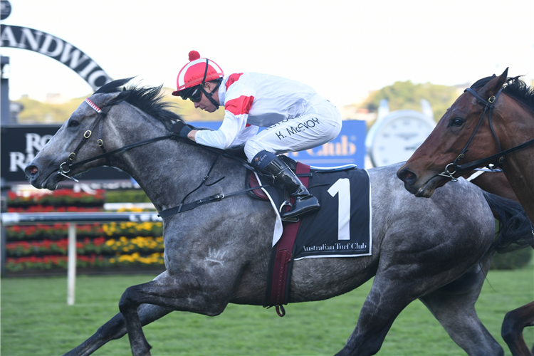 CLASSIQUE LEGEND winning the Bob Charley Ao Stakes (LR).