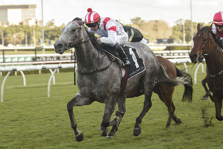CLASSIQUE LEGEND winning the Bob Charley Ao Stakes