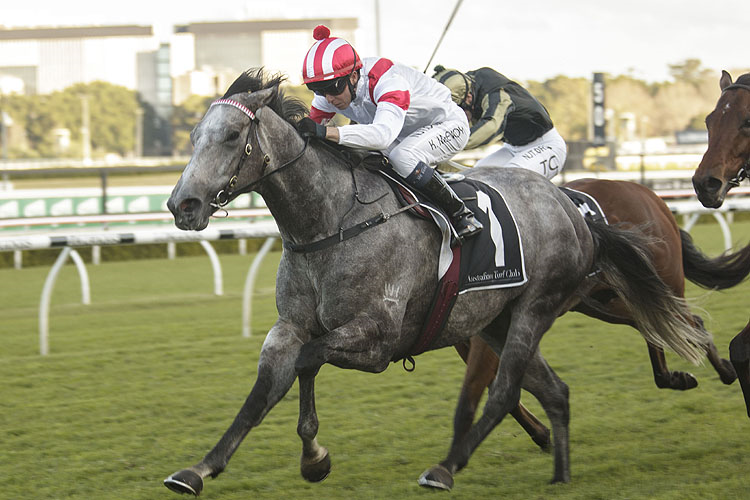 CLASSIQUE LEGEND winning the Bob Charley Ao Stakes