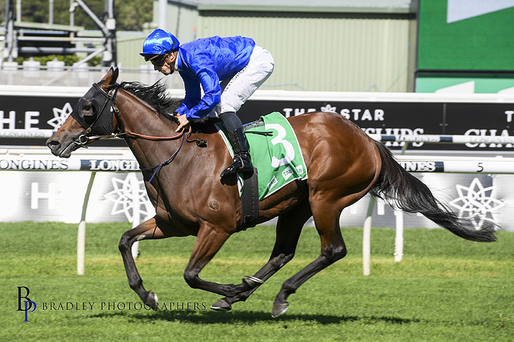 COLETTE winning the Tab Adrian Knox Stakes