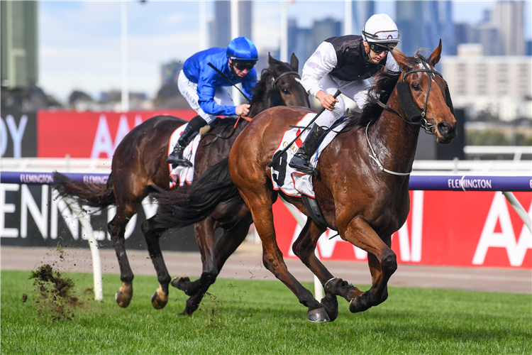 COMING AROUND winning the G.H.Mumm Plate in Flemington, Australia.