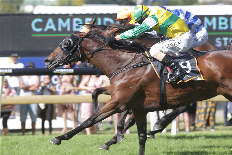 CONCERT HALL winning the Cambridge Stud Zabeel Classic