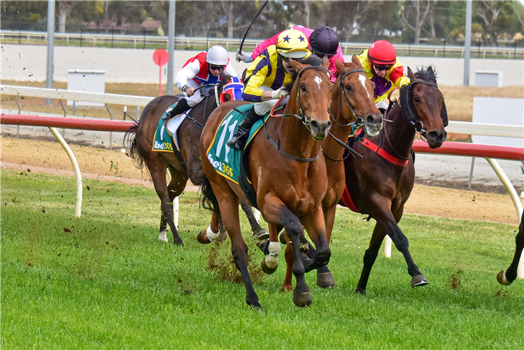 CONFRONTATIONAL winning the bet365 Odds Drift Protector Maiden Plate in Swan Hill, Australia.