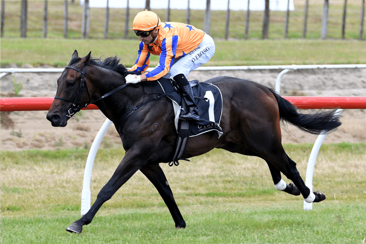 COOL AZA BEEL winning the Matamata Veterinary Serv. 2yo