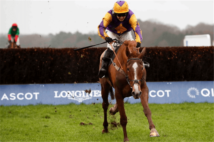 COPPERHEAD winning the Sodexo Reynoldstown Novices' Chase (Grade 2)