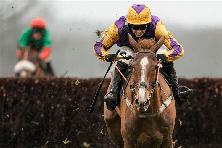 COPPERHEAD winning the Sodexo Reynoldstown Novices' Chase in Ascot, England.