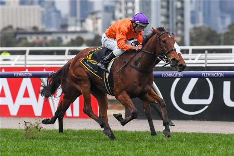 CORDILLA winning the Schweppes Rivette Series Final in Flemington, Australia.