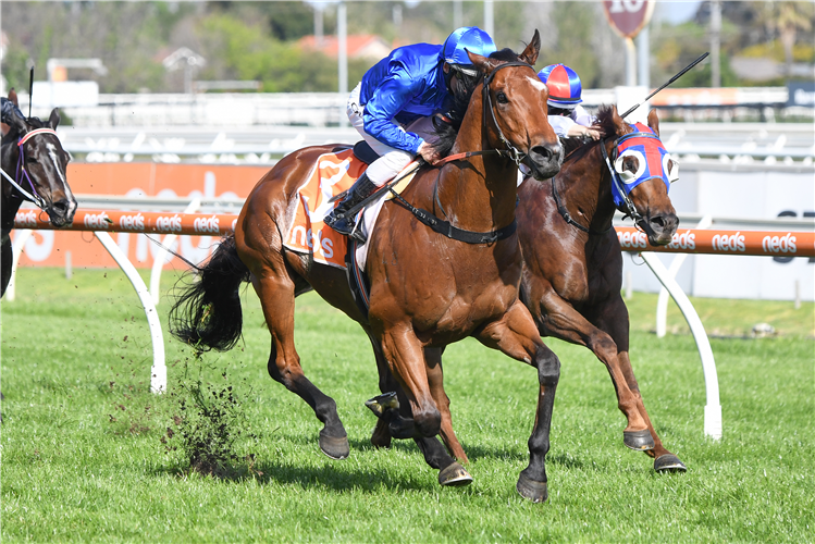 CORUSCATE winning the Neds Village Stakes in Caulfield, Australia.