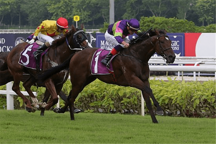 COUNTOFMONTECRISTO winning the CHAIRMAN'S TROPHY GROUP 2