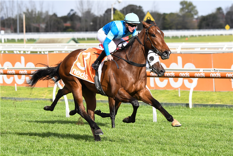Crosshaven Enters Caulfield Guineas In Top Form | Racing and Sports