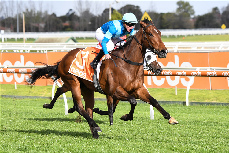 CROSSHAVEN winning the Neds Caulfield Guineas Prelude.