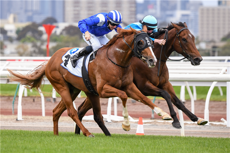 CROSSHAVEN winning the Network 10 Carbine Club Stakes.