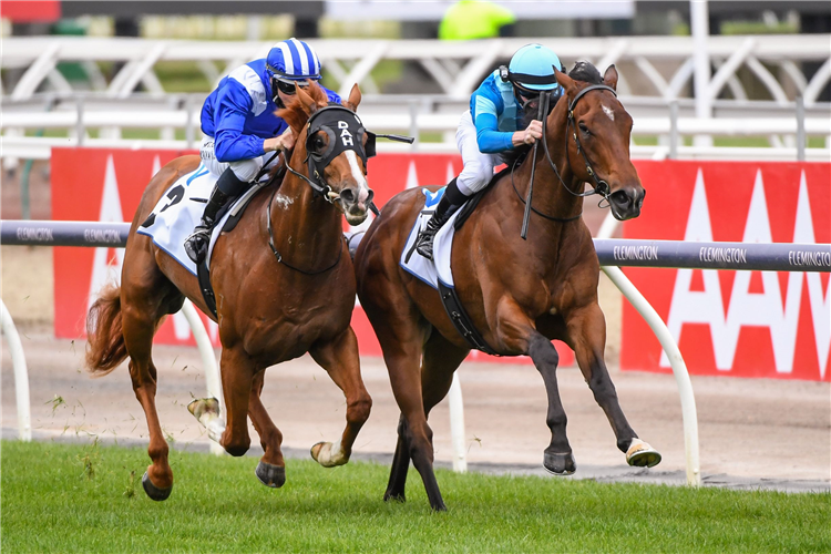 Crosshaven (inner) defeats stablemate Aysar in the opening event at Flemington