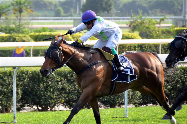 CROWN OF GOLD winning the THE PORTO ALEGRE