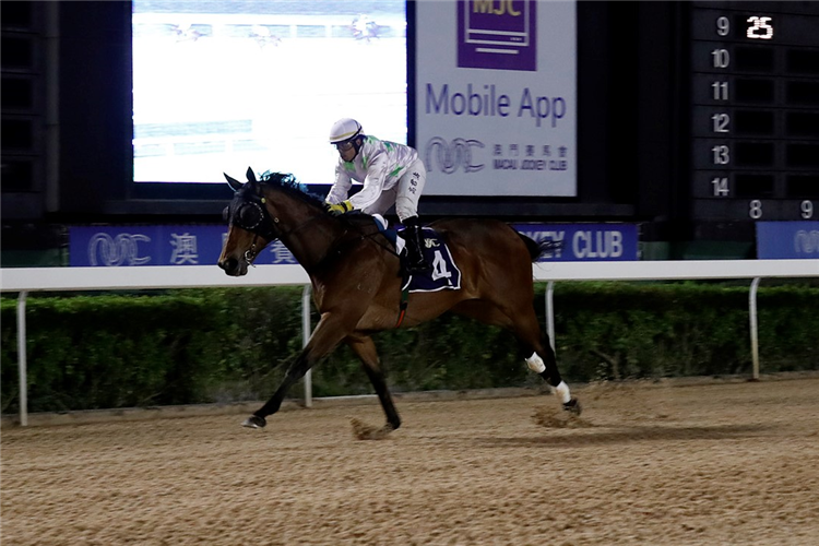 CROWN OF GOLD winning the THE CREWE