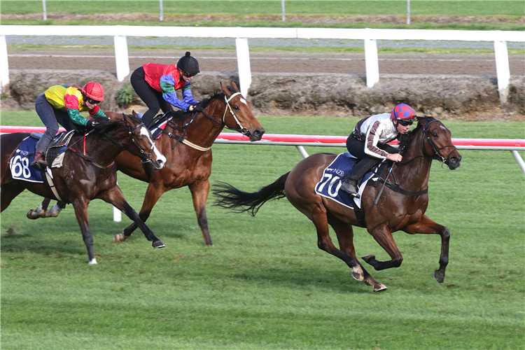 Cyber Attack winning his 850m trial at Te Rapa on Tuesday.