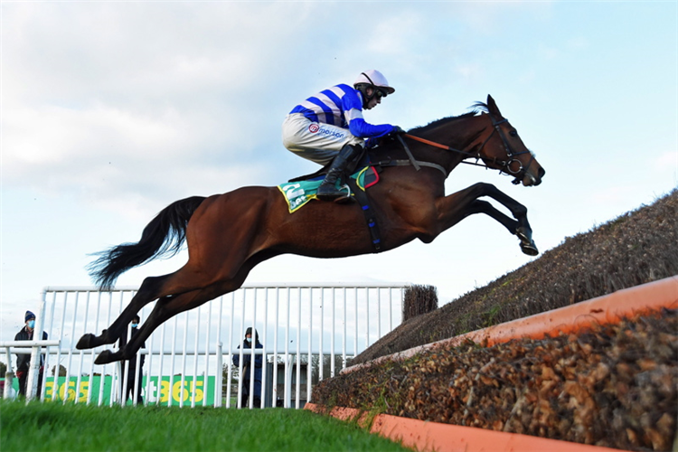 CYRNAME winning the bet365 Charlie Hall Chase (Grade 2)