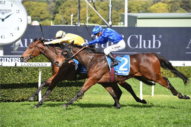 DAME GISELLE winning the Darley Silver Shadow Stakes.