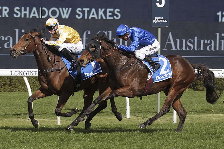DAME GISELLE winning the Darley Silver Shadow Stakes