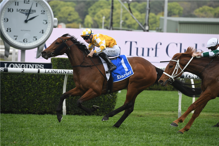 DAME GISELLE winning the Darley Tea Rose Stakes.